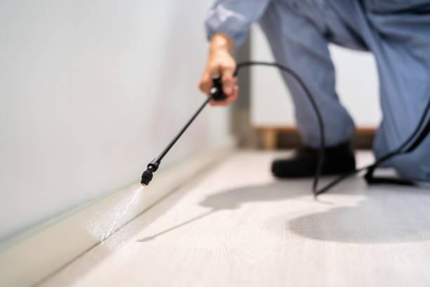Bed Bug Pre-Treatment Preparation Assessment in Mandan
