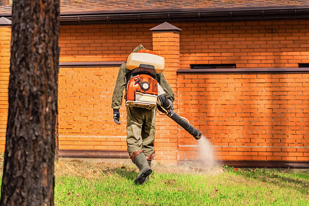 Bed Bug Clearance Verification and Documentation in Mandan